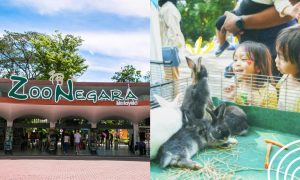 zoo negara malaysia