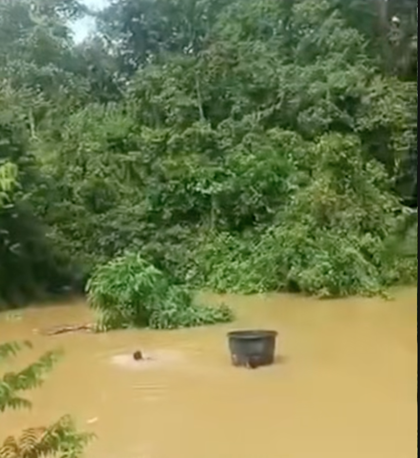 REDAH BANJIR