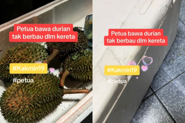 durian kampung