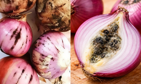 BAWANG MERAH BERKULAT