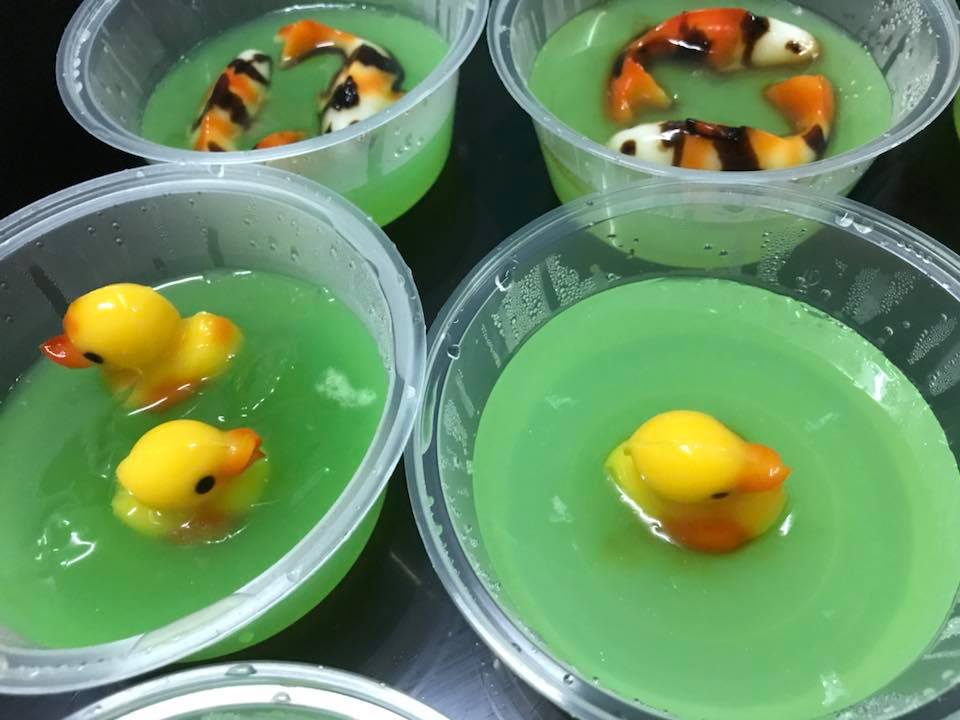PUDING IKAN KOI