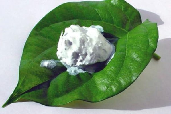 kapur makan