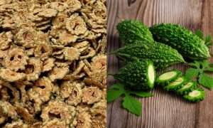 kerepek peria