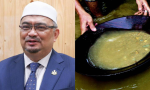 lesen mendulang emas
