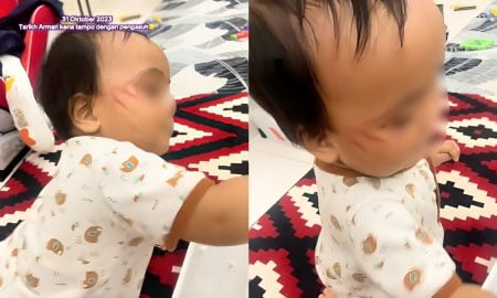 pengasuh bayi