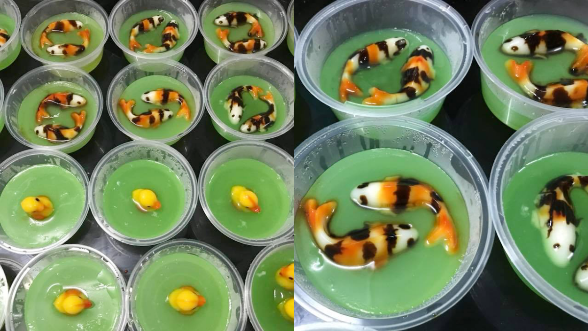 puding ikan koi