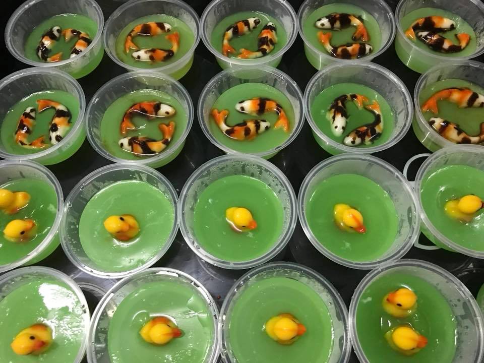 PUDING IKAN KOI