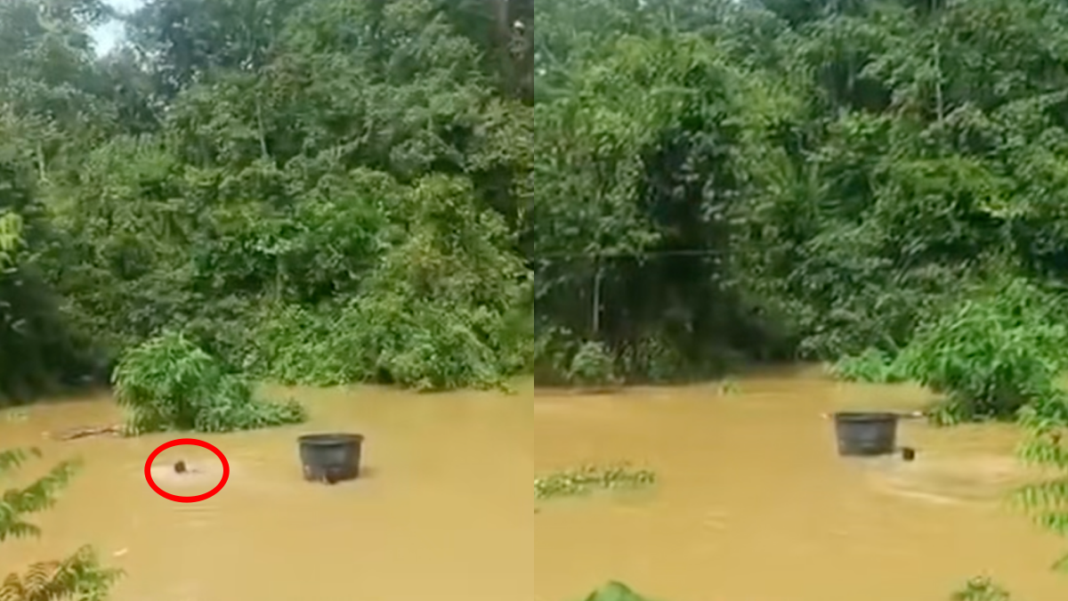 REDAH BANJIR