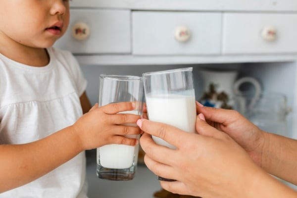susu formula