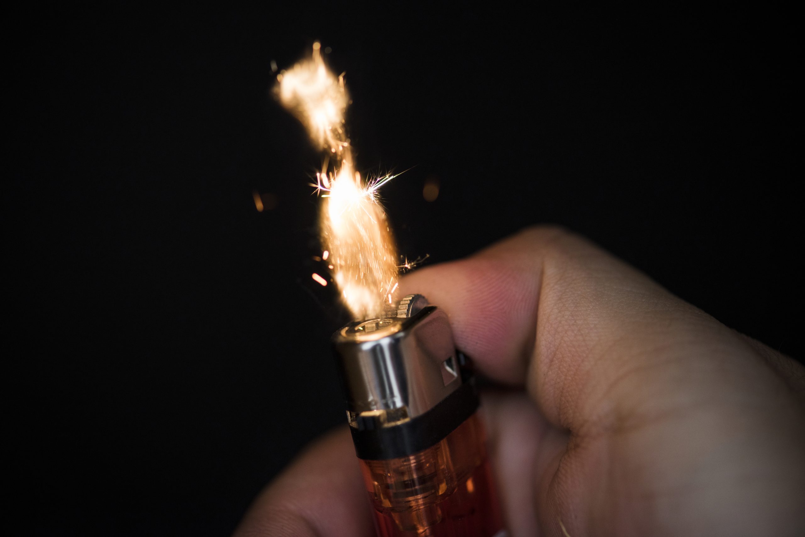 BAKAR SEMUT