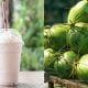 coconut shake