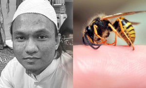 DISENGAT TEBUAN