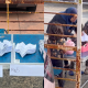 KAPAL TERBANG KERTAS