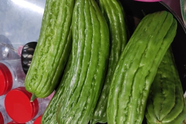 kerepek peria