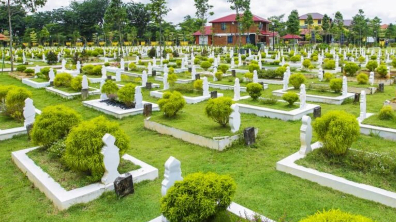 POKOK UNTUK KUBUR
