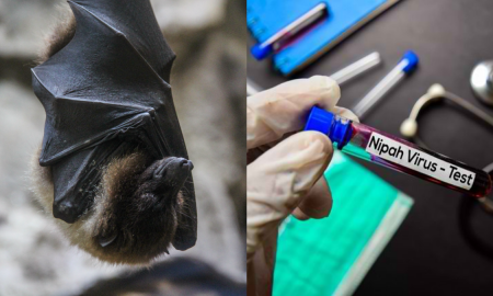 NIPAH VIRUS
