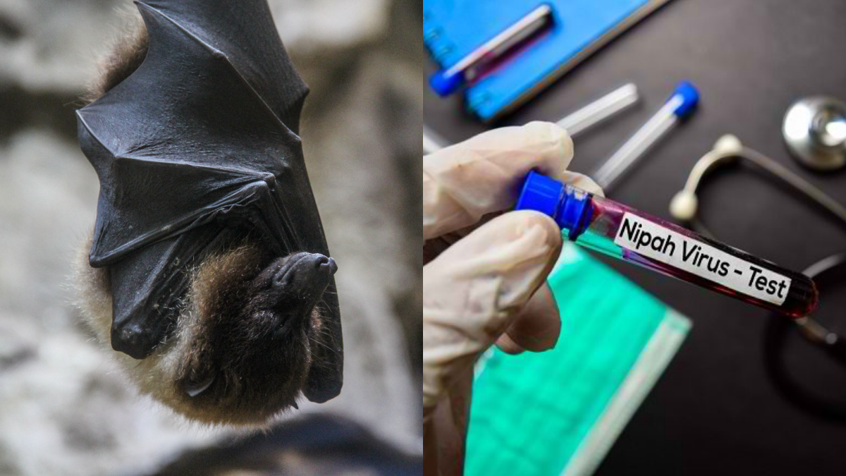 NIPAH VIRUS
