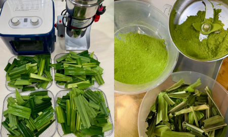 serbuk daun pandan