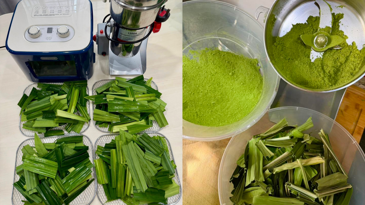 serbuk daun pandan