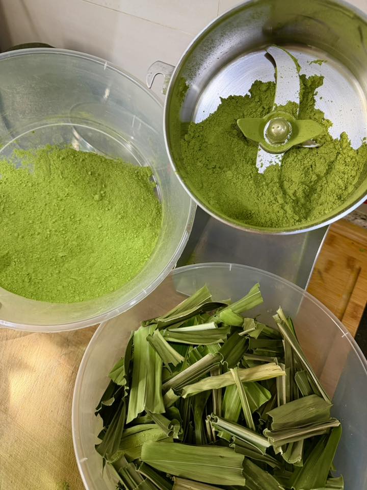 SERBUK DAUN PANDAN