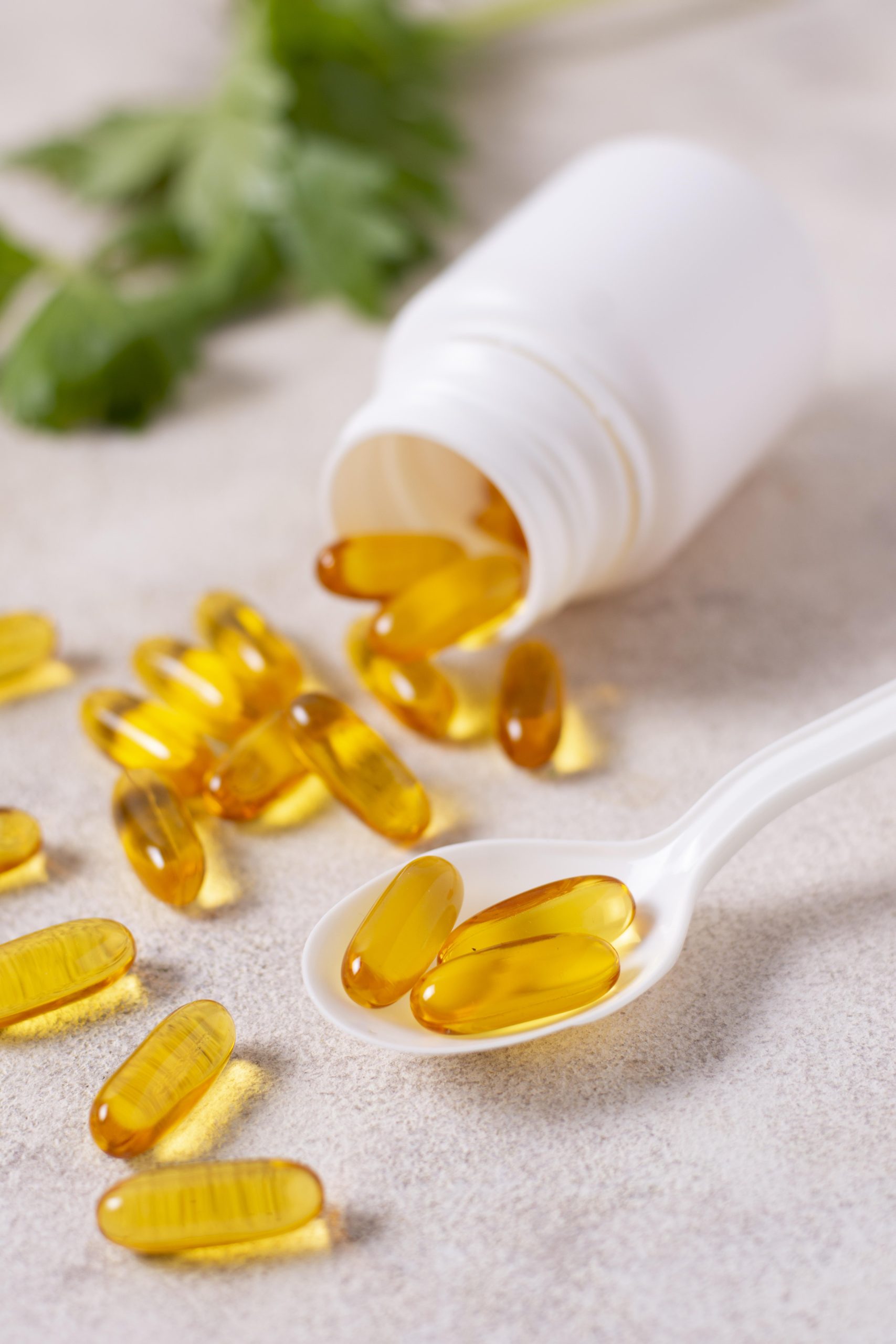 MAKAN VITAMIN