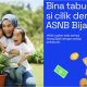ASNB Bijak