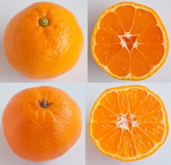 buah limau mandarin