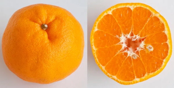 buah limau mandarin lukan