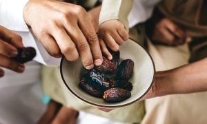 JENIS KURMA