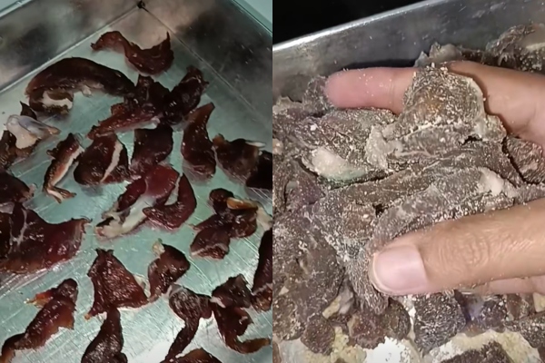 pekasam daging