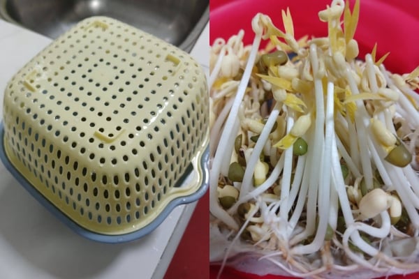 sayur tauge