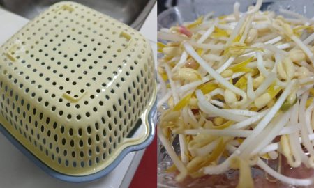 sayur tauge