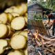 KAYU PALET