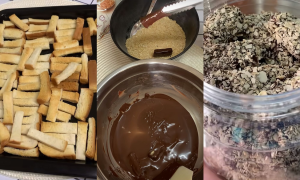 biskut jejari