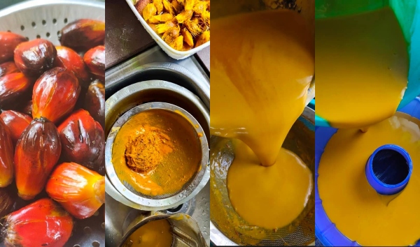buah kelapa sawit