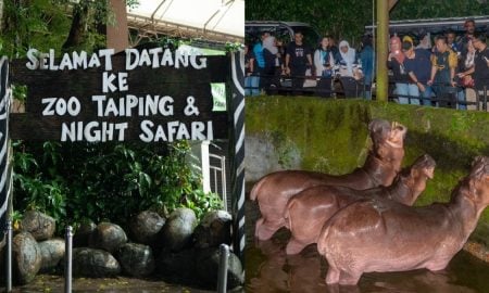 harga tiket zoo taiping