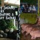 harga tiket zoo taiping