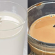 LALAT JATUH DALAM AIR