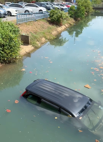memandu kereta