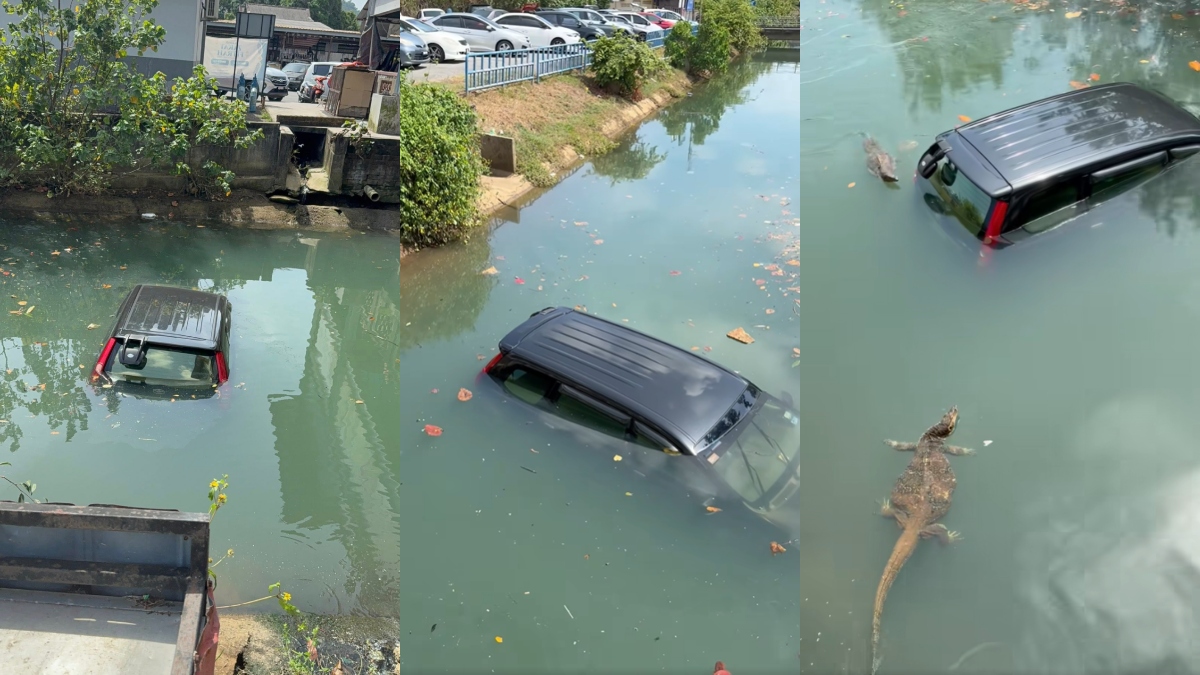 memandu kereta