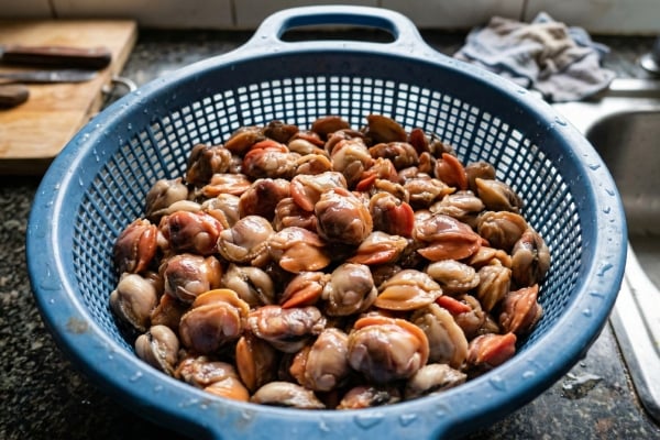 rendang kerang