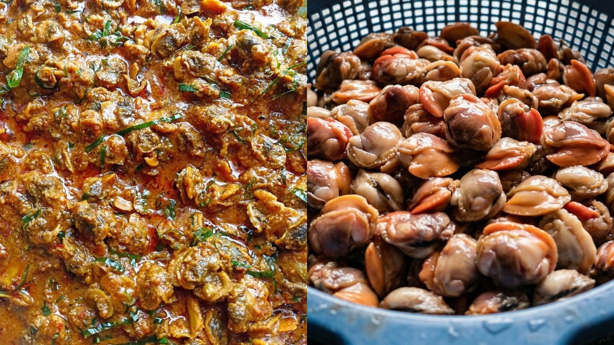 rendang kerang