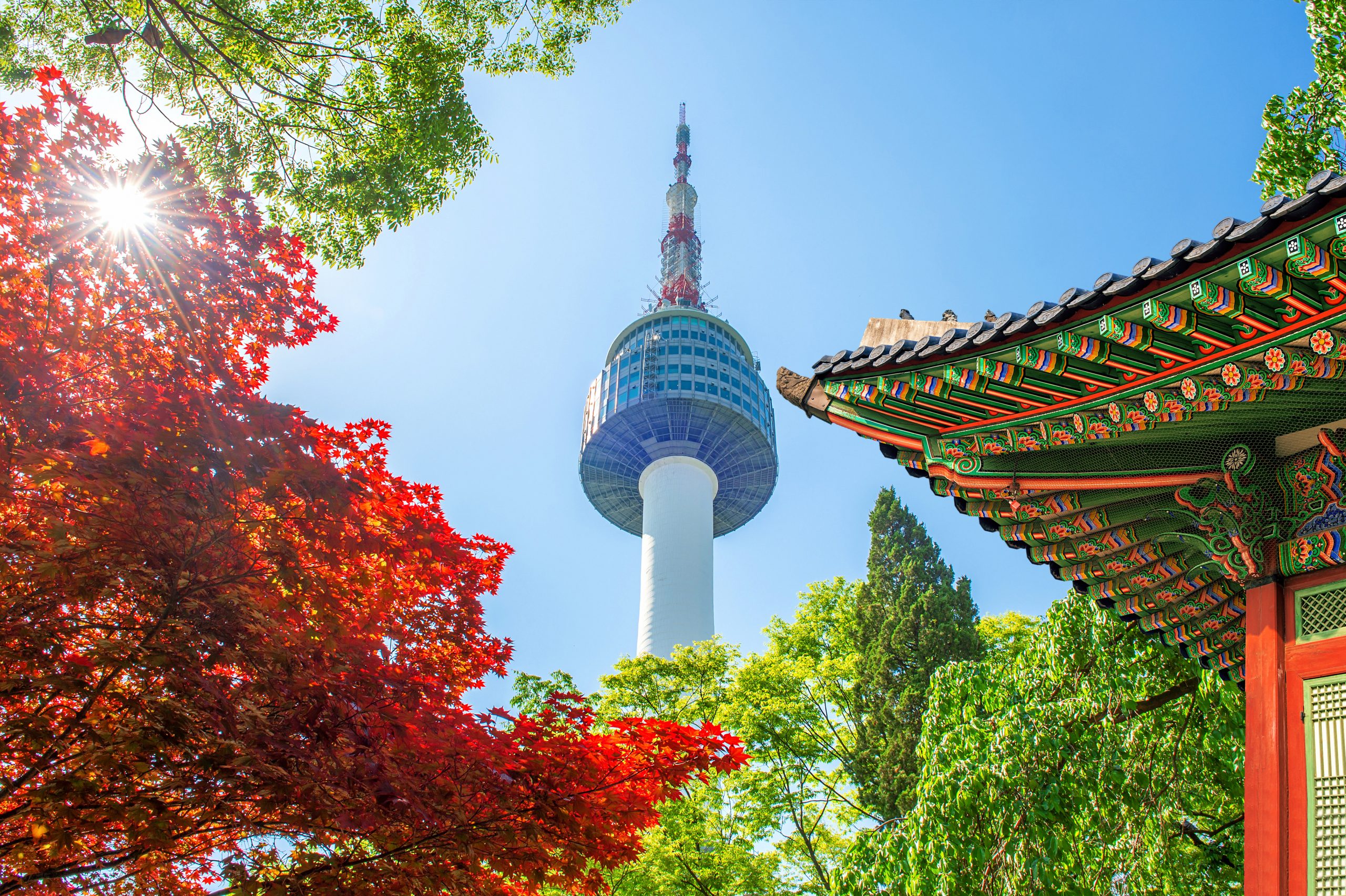 TERBANG KE SEOUL