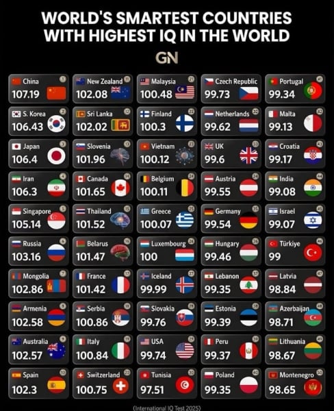 IQ global