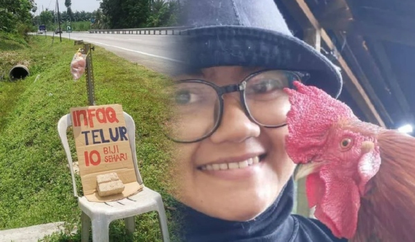 ayam ternakan