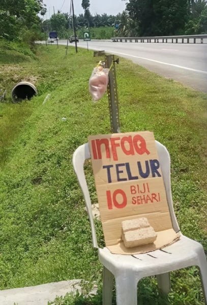 ayam ternakan