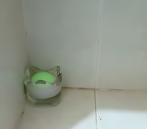 bilik air wangi