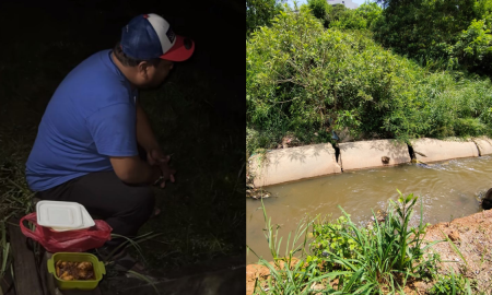 BUDAK JATUH LONGKANG