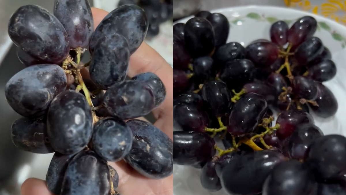 CUCI BUAH