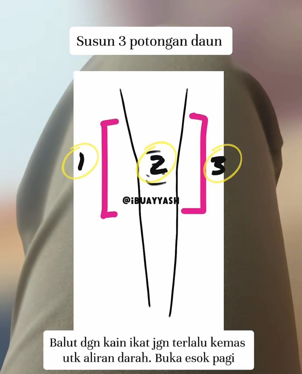 daun tembaga suasa